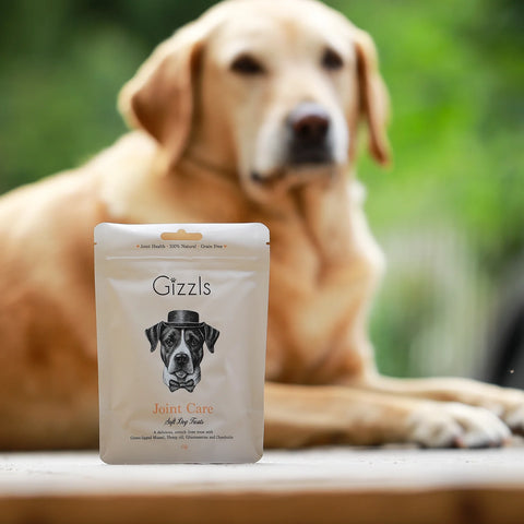 Gizzls Joint Care Hemp Soft Dog Treats
