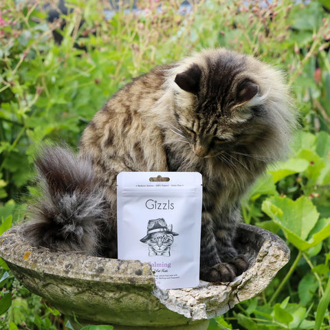 Calming Soft Hemp Cat Treats