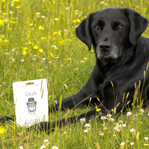 Calming Hemp Soft Dog Treats