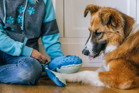 Big and Baby Blue Whale - Ocean Buddies Dog Toy