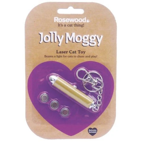 Cat Laser Toy