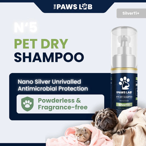 N'5 Dry Shampoo