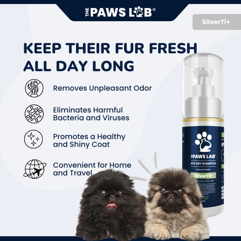 N'5 Dry Shampoo