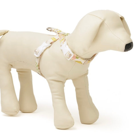 Fleurir Neck Harness