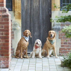 Tweed Bandana