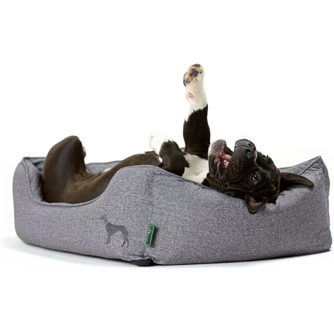 Boston Bed