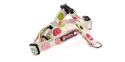 Balloon Dot Neck Harness