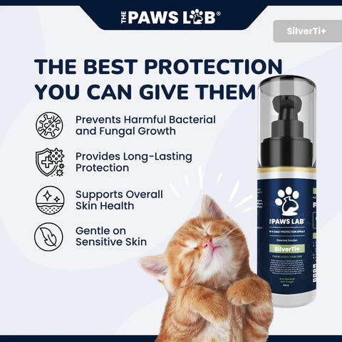 N'4 Daily Protection