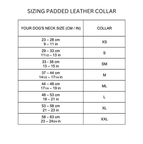D&H Padded Leather Collar