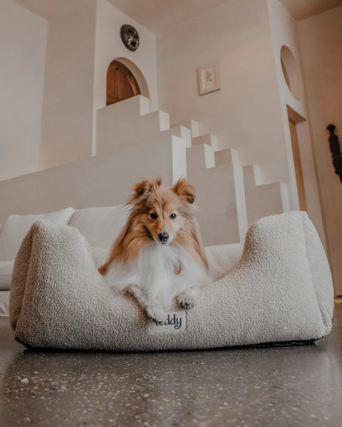 The Cosy Bed