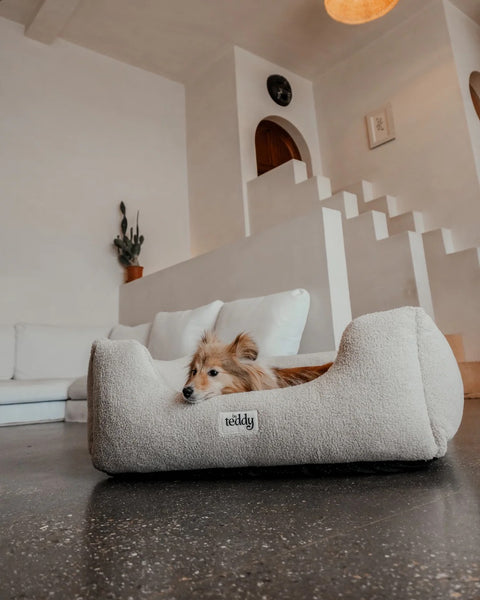 The Cosy Bed