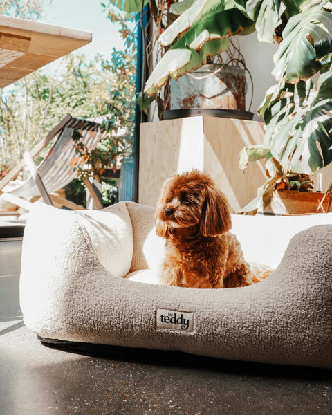 The Cosy Bed