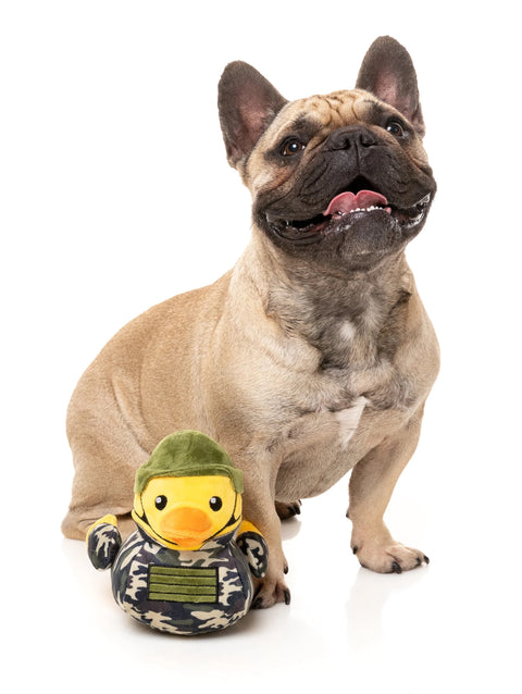 Commanduck