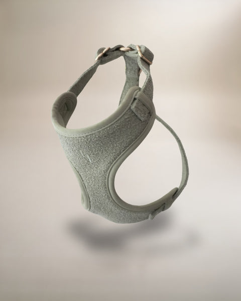 Boucle Harness