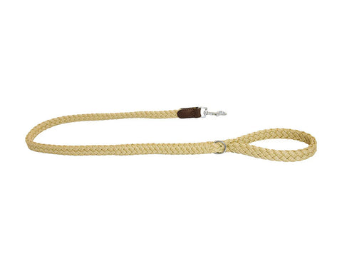 Braided Nylon Leather Lead