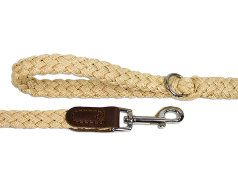 Braided Nylon Leather Lead