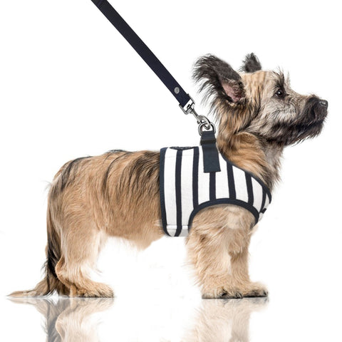LOAN Striped Harness