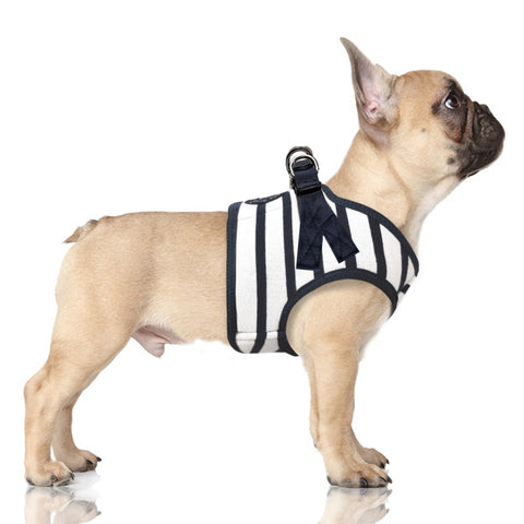 LOAN Striped Harness