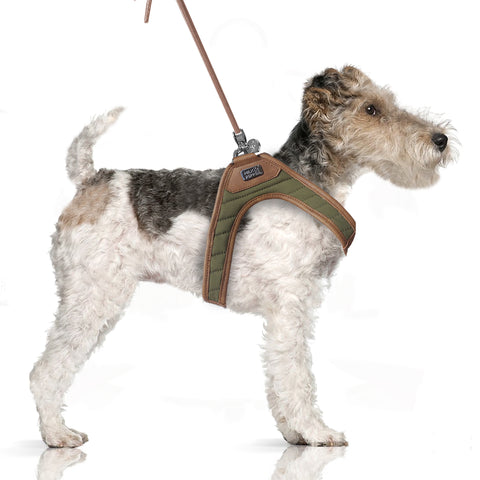 Gabin Slings Harness