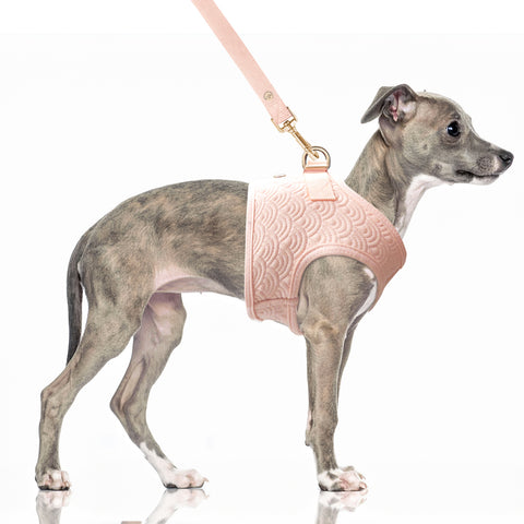 FUJI Quilted Harness