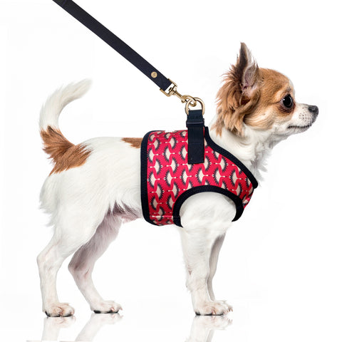 ALMA Flamingo Harness