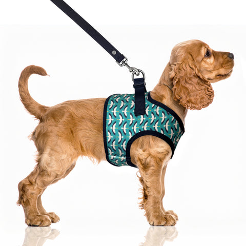 PABLO Pelican Harness