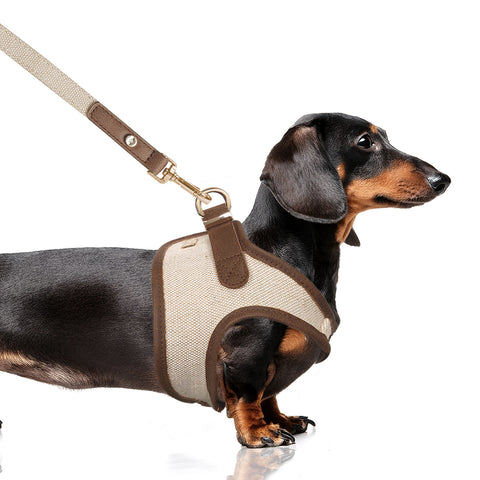 JAVA Harness