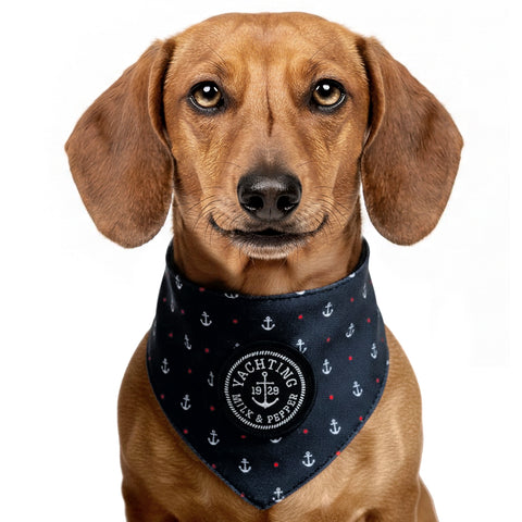 KELIG Bandana