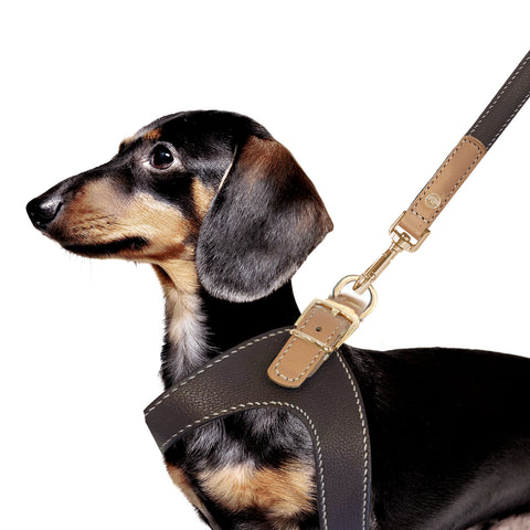 Vendôme Leather Parachute Harness