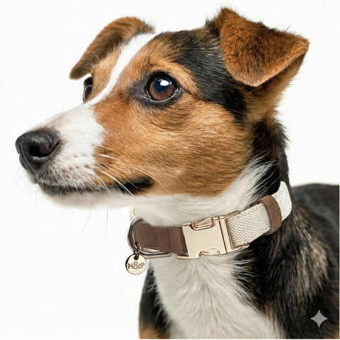 MADURA Adjustable Collar