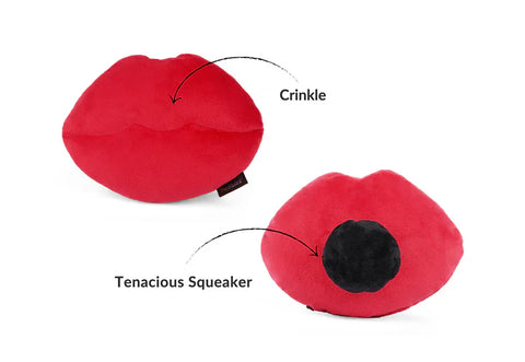 Love Bug Smoochy Poochy