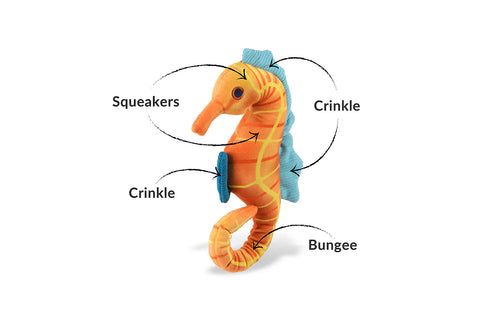 Deep Sea Seahorse - Ocean Buddies Dog Toy