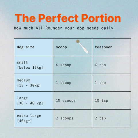 The All Rounder - A Dog Person Supplement