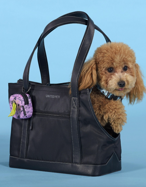 Complete Me - UP Bag