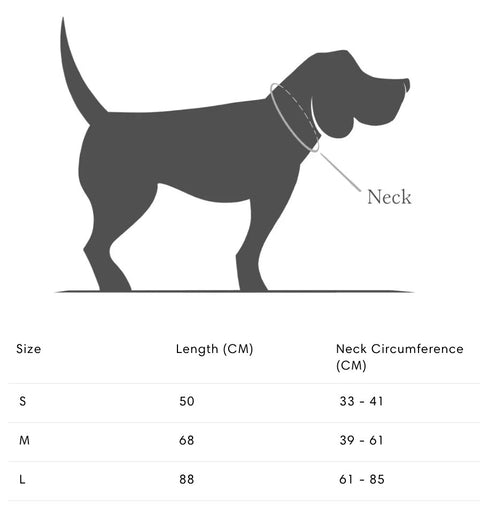Check Dog Bandana