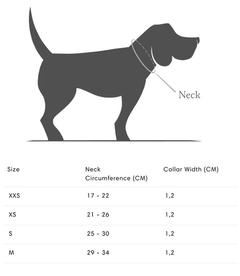 Prince Park Collar