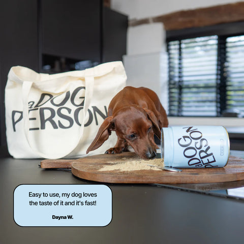 The All Rounder - A Dog Person Supplement