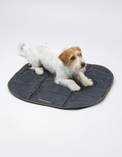 Portable Foldable 'Lazy Dog Mat'