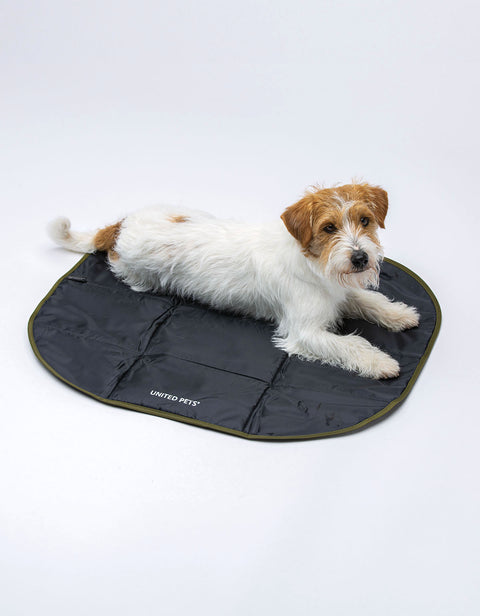 Portable Foldable 'Lazy Dog Mat'