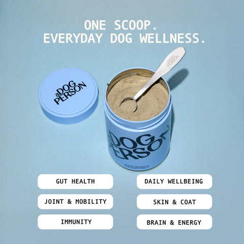 The All Rounder - A Dog Person Supplement
