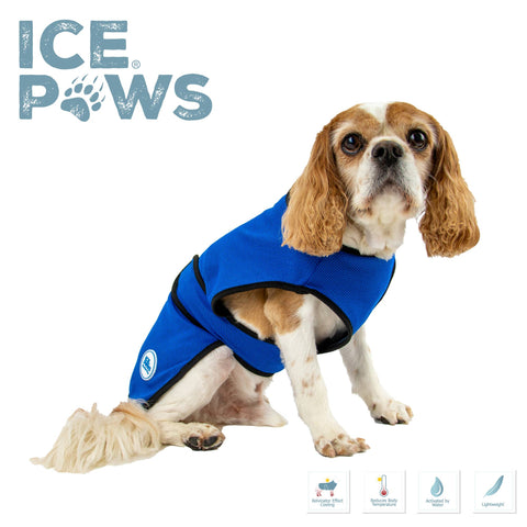 Cooling Dog Coat