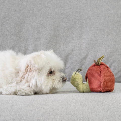 APPLE // ENRICHMENT TOY SET// SNUFFLE + BURROW