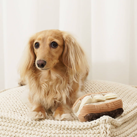ECLAIR // ENRICHMENT DOG TOY // SNUFFLE TOY