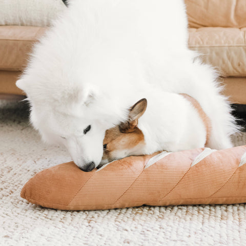 GIANT BAGUETTE // ENRICHMENT DOG TOY // Snuffle + Cuddle Toy