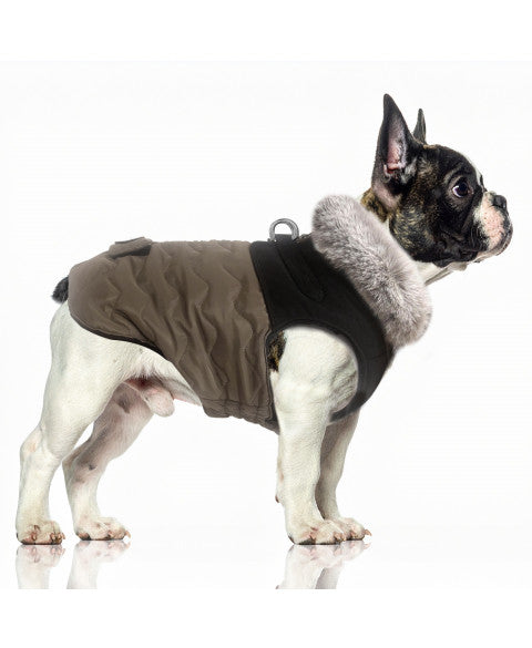 Auguste Harness Down Jacket