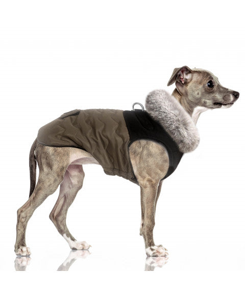 Auguste Harness Down Jacket