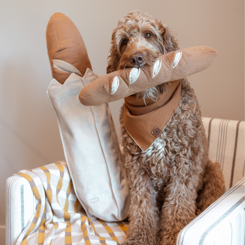 GIANT BAGUETTE // ENRICHMENT DOG TOY // Snuffle + Cuddle Toy