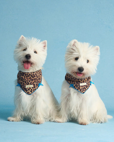 Leopard Print Bandana