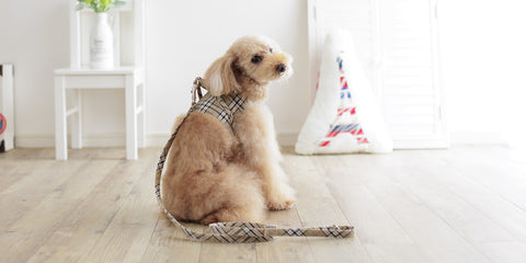 Beige Check Body Harness