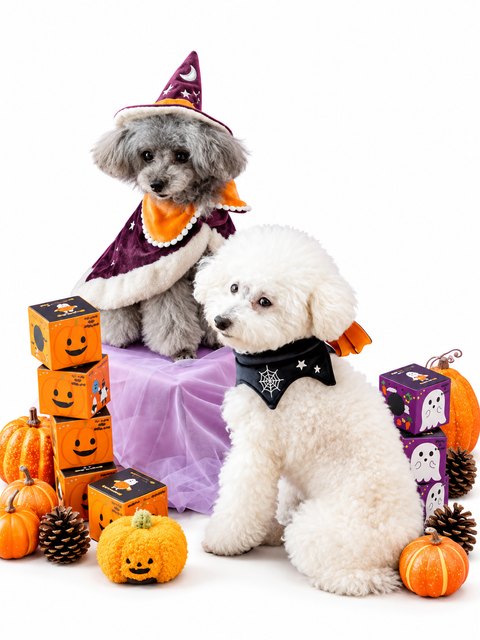 Two dogs dressed in Halloween accessories, including the black Bat Choker.